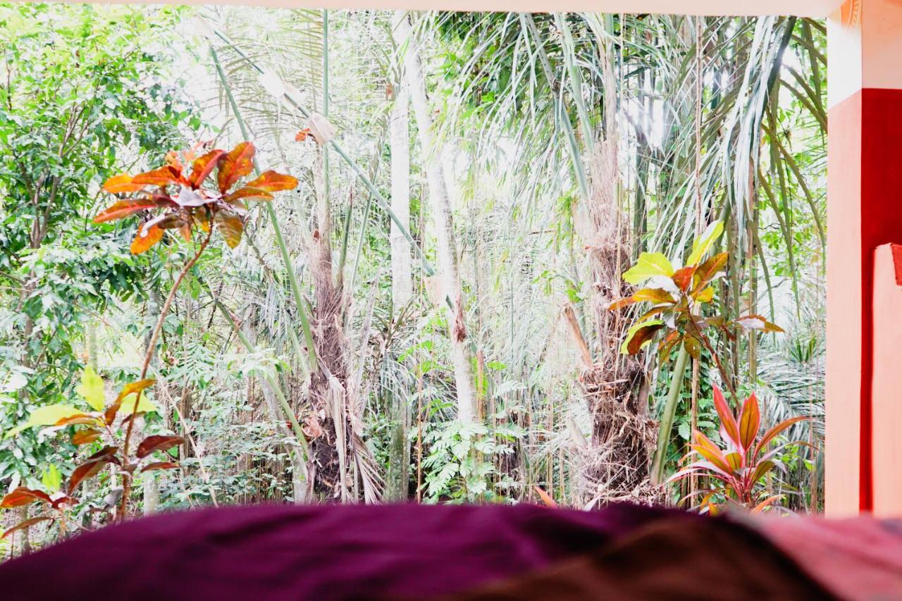 Shanti Toya Ashram Mambal Ngoại thất bức ảnh
